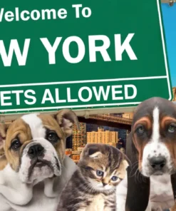 The State of New York Has Banned your choice to buy a puppy, kitten or rabbit .....